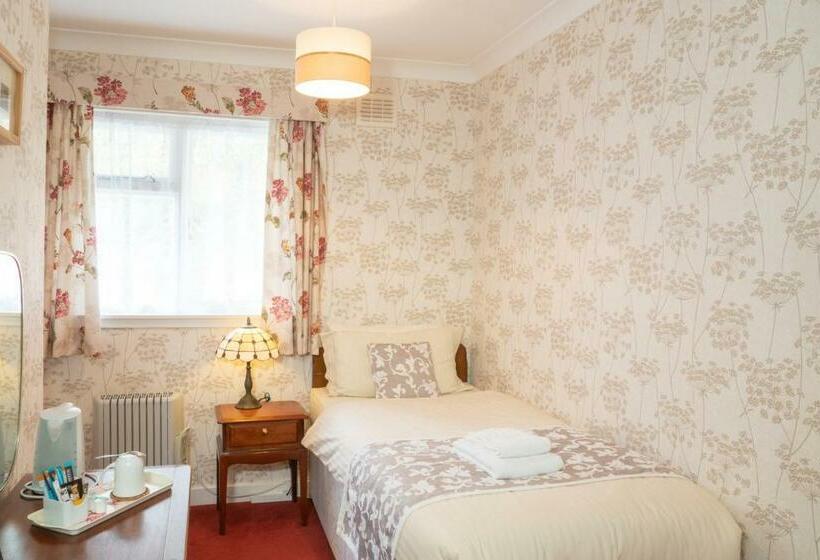 غرفة قياسية فردية, The Lagg