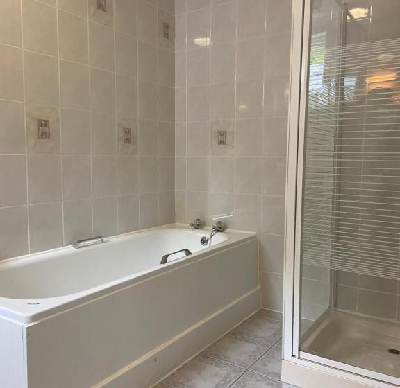 غرفة عائلية, The Lagg