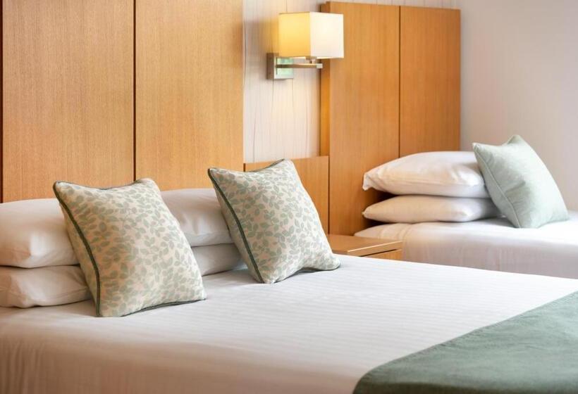 スタンダードルーム, The Lodge In The Vale