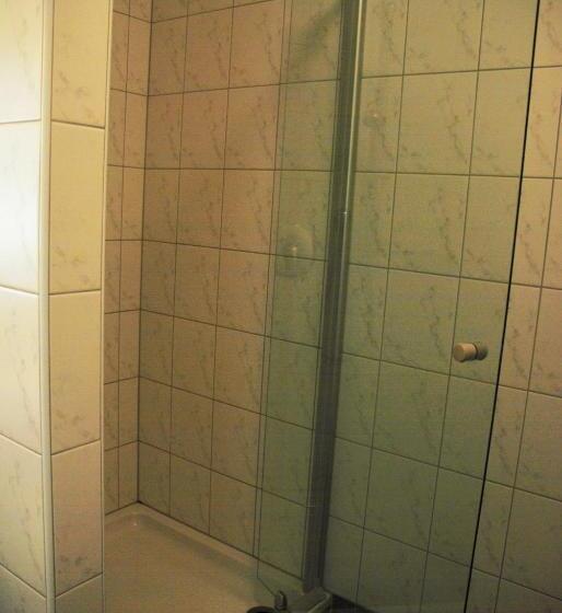 标准单人间, Gasthof Hotel Lang
