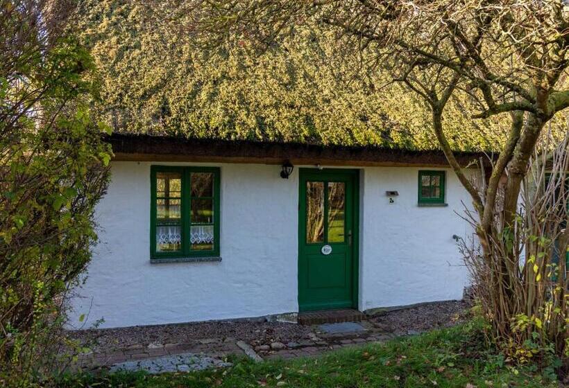 1ベッドルームハウス, Ferienpark Vieregge   Haus 1 D