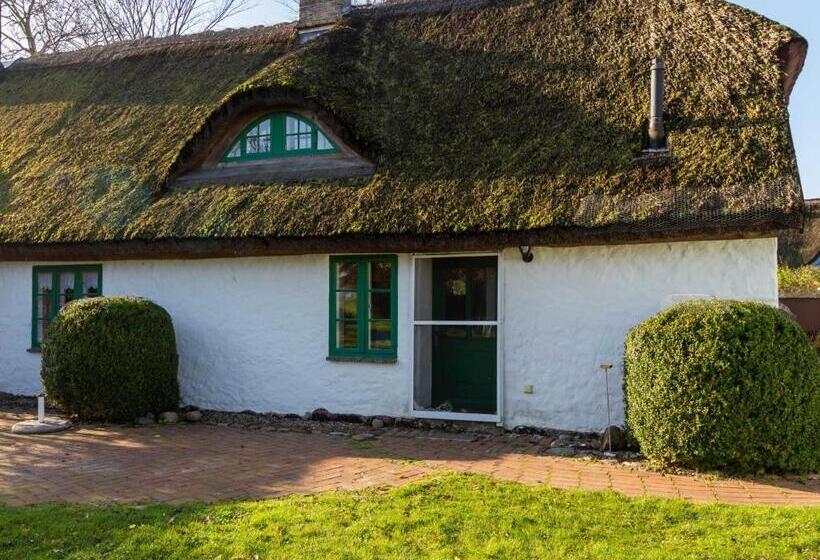 3ベッドルームハウス, Ferienpark Vieregge   Haus 1 D