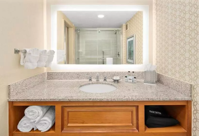 اتاق استاندارد با تخت بزرگ, Doubletree By Hilton Fort Myers At Bell Tower Shops
