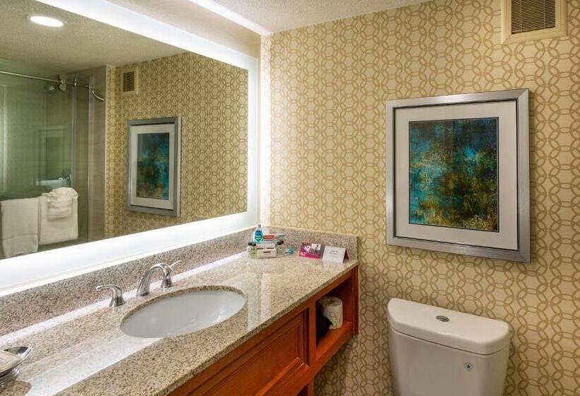 스탠다드 룸 킹사이즈 침대, Doubletree By Hilton Fort Myers At Bell Tower Shops