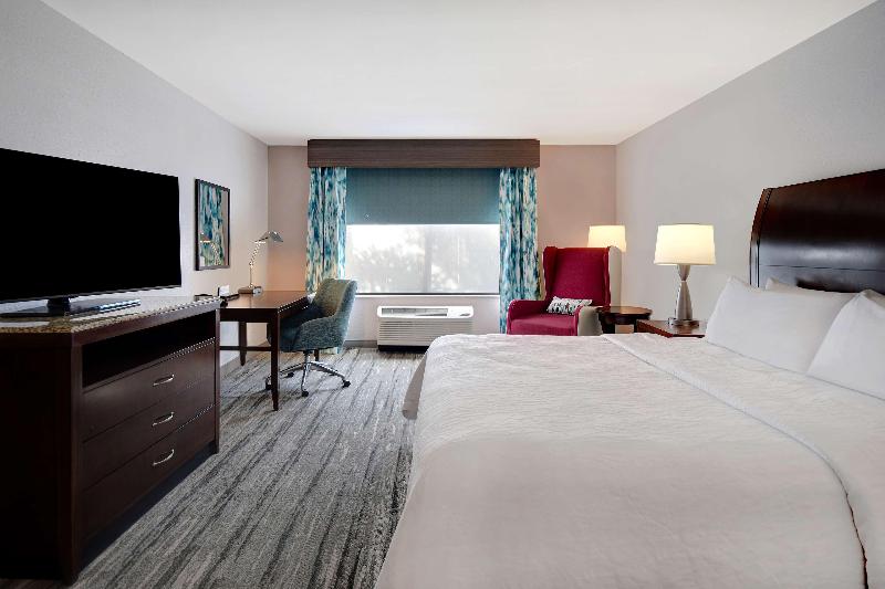 غرفة قياسية سرير كينج, Hilton Garden Inn Ft Myers