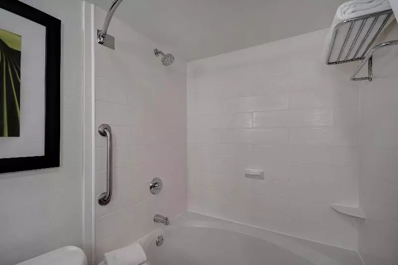 اتاق استاندارد با تخت بزرگ, Hilton Garden Inn Ft Myers