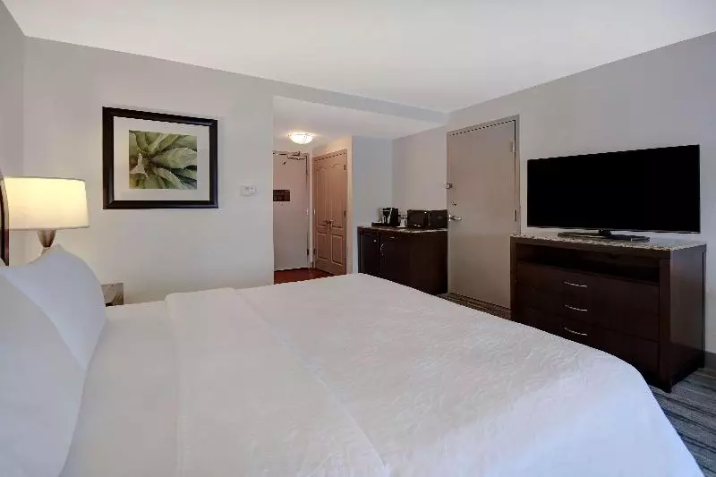 اتاق استاندارد با تخت بزرگ, Hilton Garden Inn Ft Myers