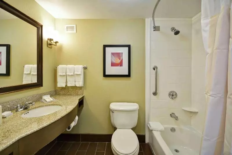 سوئیت با تخت بزرگ, Hilton Garden Inn Ft Myers