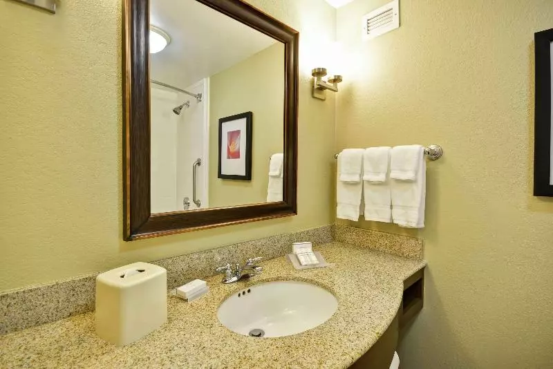 سوئیت با تخت بزرگ, Hilton Garden Inn Ft Myers