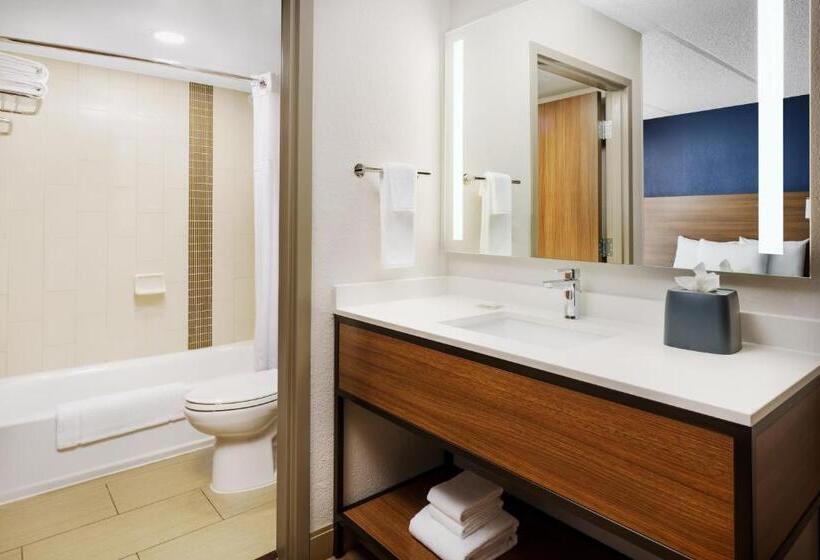 Номер Стандарт, Hyatt Place Across From Universal Orlando Resort