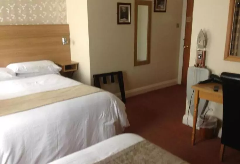 Standard Kolmen Hengen Huone, Templemore Arms Hotel
