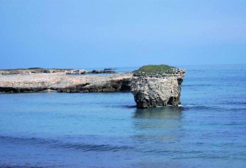 חדר סטנדרט נוף לגינה, B&b Neptunia Fronte Mare