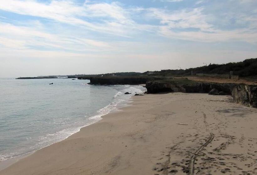 חדר סטנדרט נוף לגינה, B&b Neptunia Fronte Mare