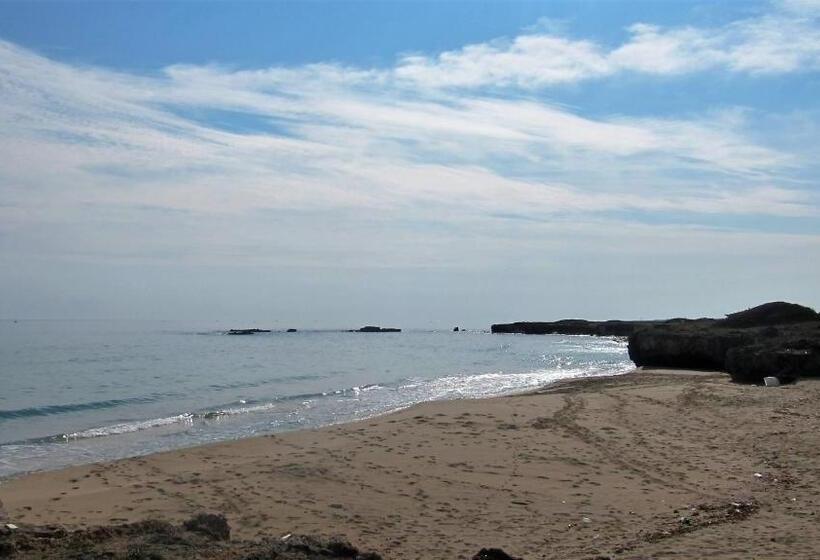 חדר סטנדרט נוף לים עם מרפסת, B&b Neptunia Fronte Mare