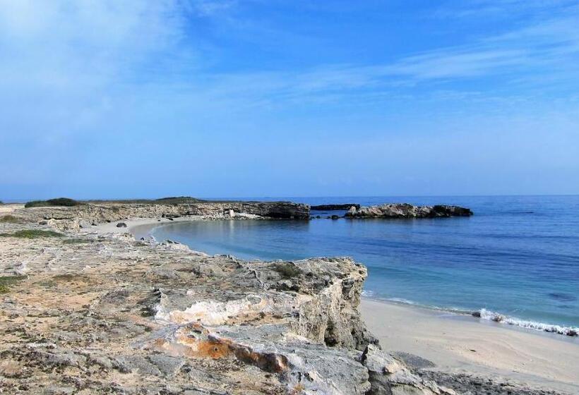 חדר לארבעה סטנדרטי עם נוף לגינה, B&b Neptunia Fronte Mare