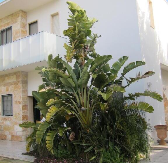 חדר סטנדרט נוף לים עם מרפסת, B&b Neptunia Fronte Mare