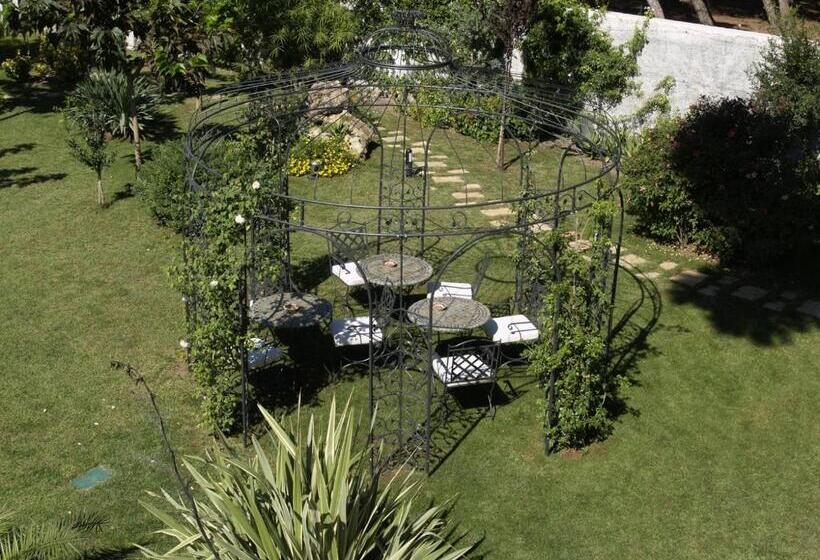 חדר סטנדרט נוף לים עם מרפסת, B&b Neptunia Fronte Mare