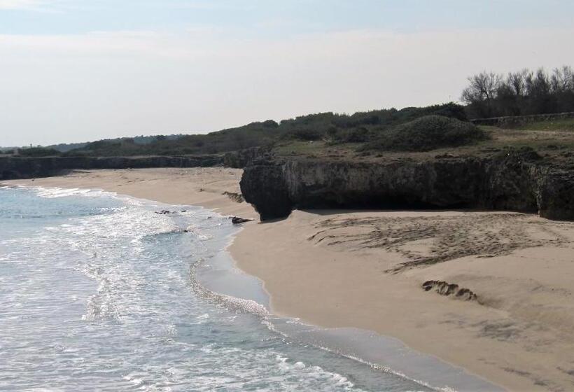 חדר סטנדרט נוף לים עם טרסה, B&b Neptunia Fronte Mare