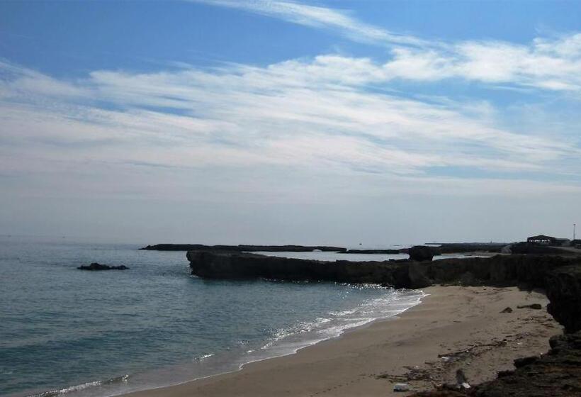 חדר סטנדרט נוף לים עם טרסה, B&b Neptunia Fronte Mare