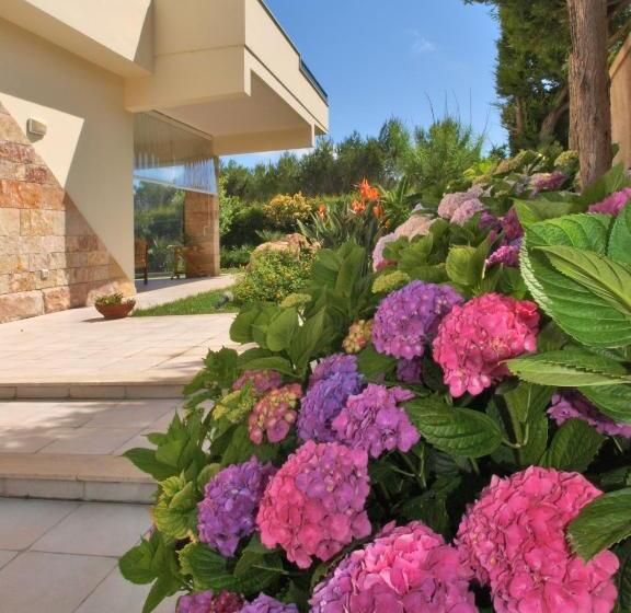 חדר סטנדרט נוף לים עם טרסה, B&b Neptunia Fronte Mare