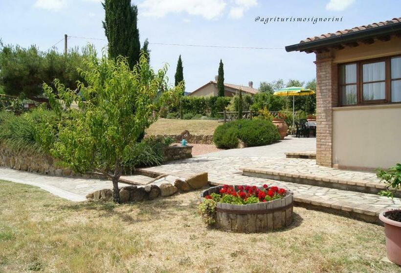 Семейное Студио, Agriturismo Signorini
