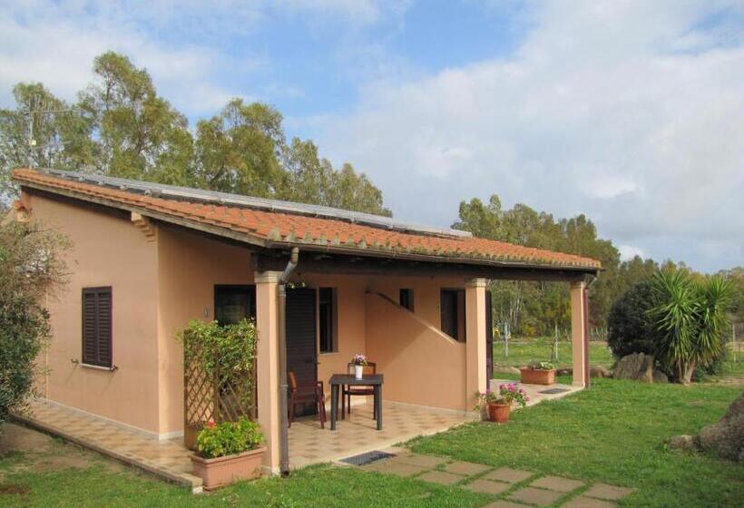 חדר סטנדרט, B&b Monte Gruttas