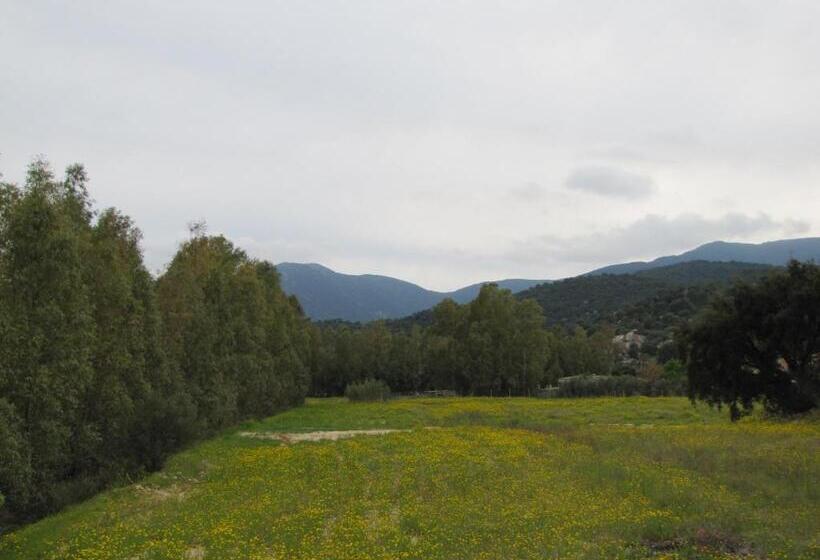 דירת חדר, B&b Monte Gruttas