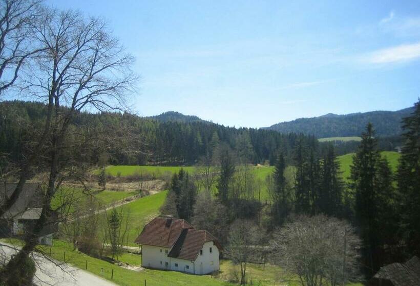 Апартаменты 2 Спальни, Biohof Köck Tonibauer