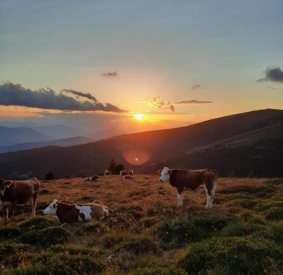 Номер Стандарт, Biohof Köck Tonibauer