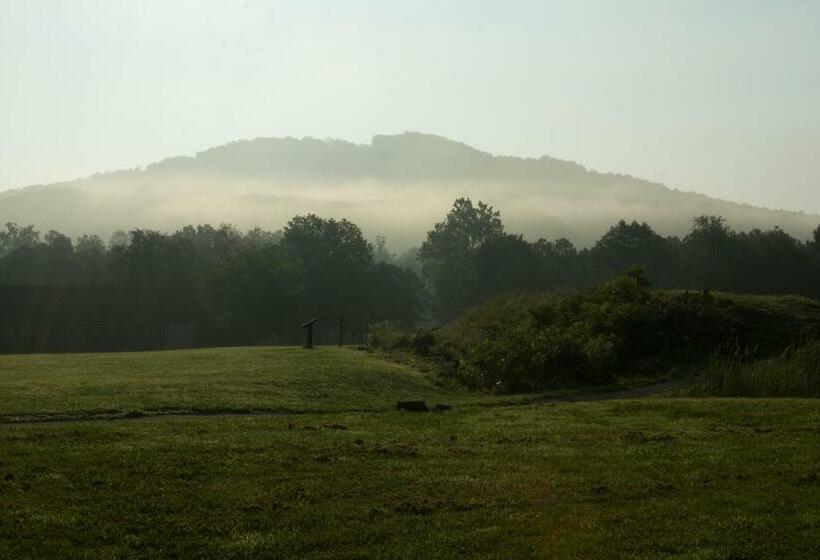 Havuz Manzaralı Standart Oda, Fort Davidson