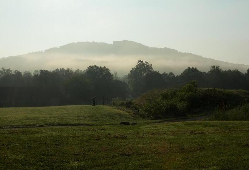 패밀리 룸, Fort Davidson