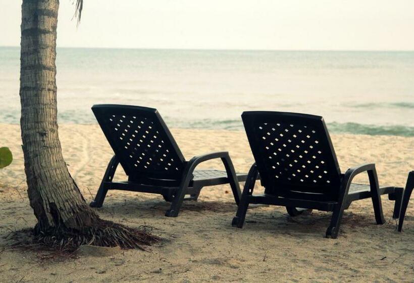 Standard Tent, Tayrona Tented Lodge