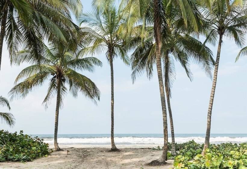 Standard Tent, Tayrona Tented Lodge