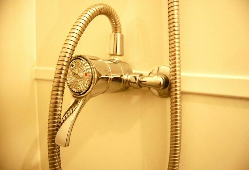 Номер Стандарт, The Italian Greyhound