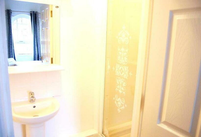 Номер Стандарт, The Italian Greyhound