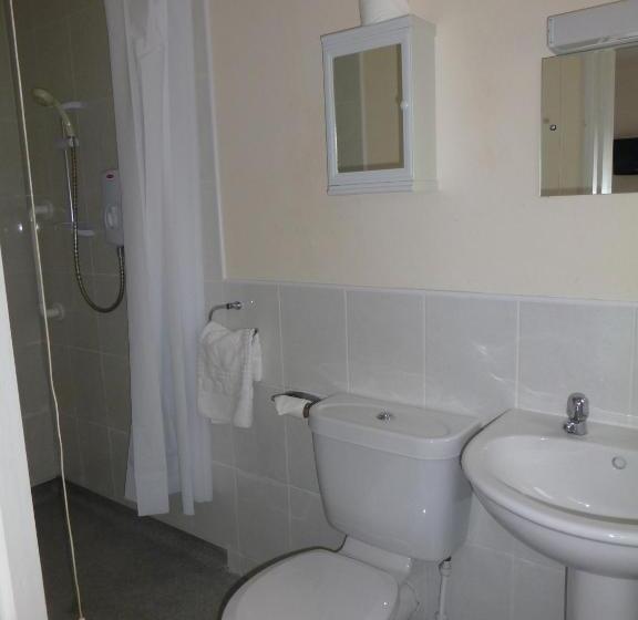 Номер Стандарт, The Ramblers