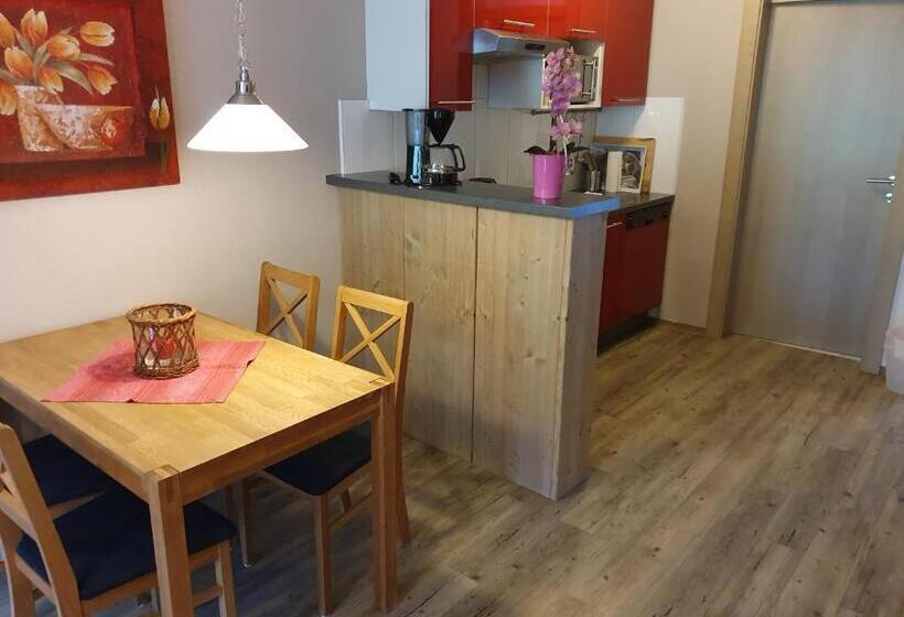 آپارتمان 1 خوابه با تراس, Romantik Pension Lehrberg