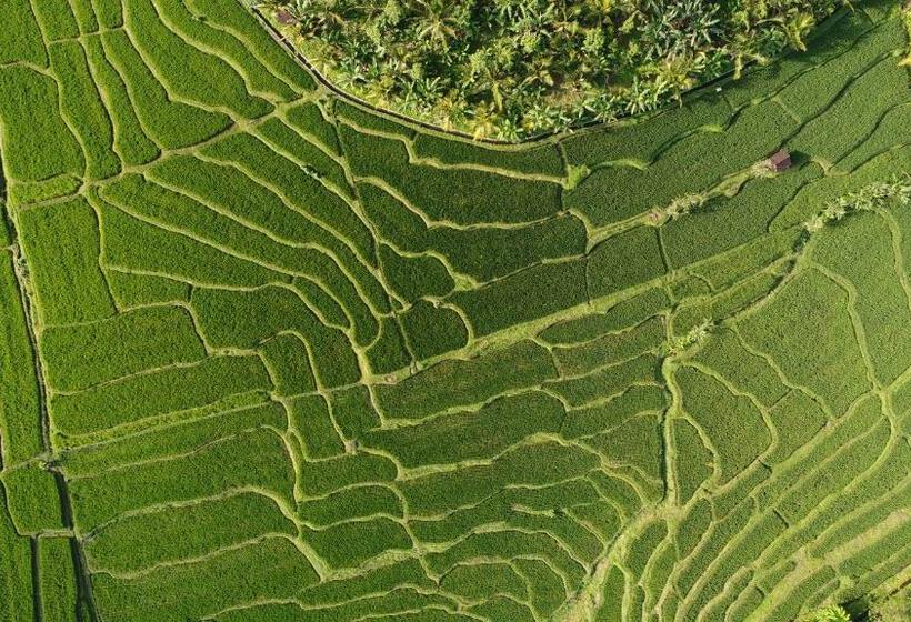 חדר סטנדרט, Medewi Secret Surfcamp