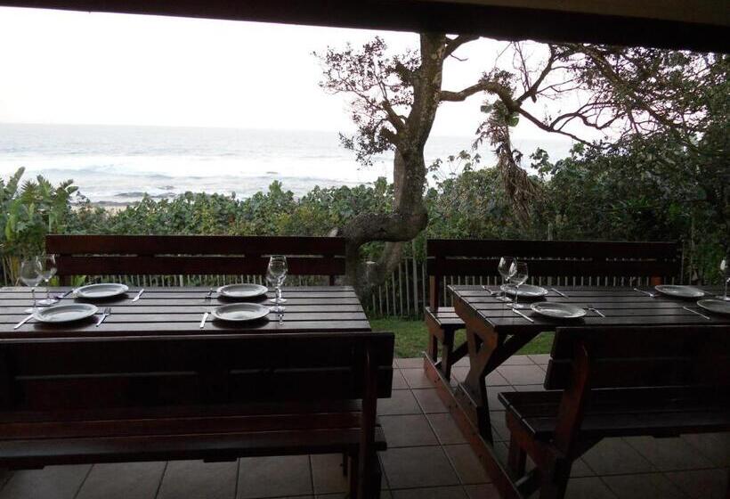 샬레, Shore Breakers