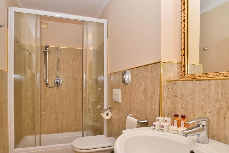 Camera Standard, Antin St Georges