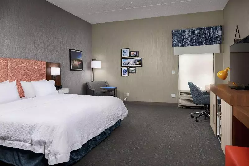 Standard-huone King-vuode, Hampton Inn Niagara Falls