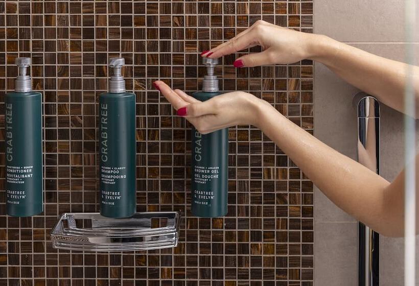 اتاق لوکس, Hilton Prague