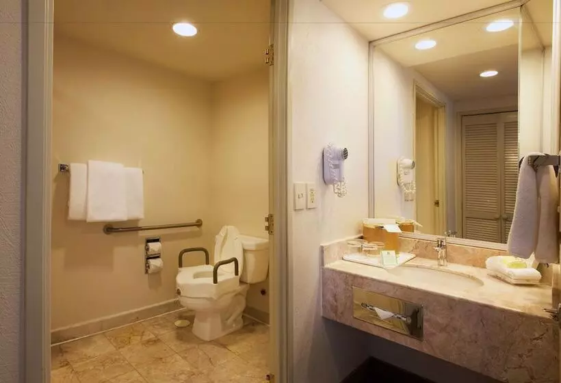 اتاق استاندارد با 2 تخت دوبل, Holiday Inn Puebla La Noria, An Ihg