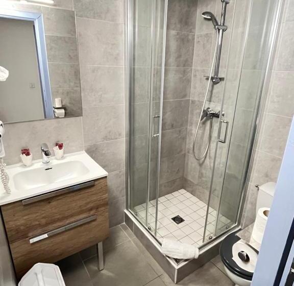 غرفة قياسية, Hôtel Du Cheval Blanc Barcelonnette