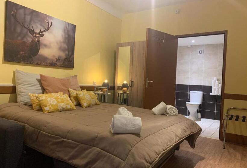 غرفة قياسية سرير كينج لذوى الإحتياجات الخاصة, Hôtel Du Cheval Blanc Barcelonnette