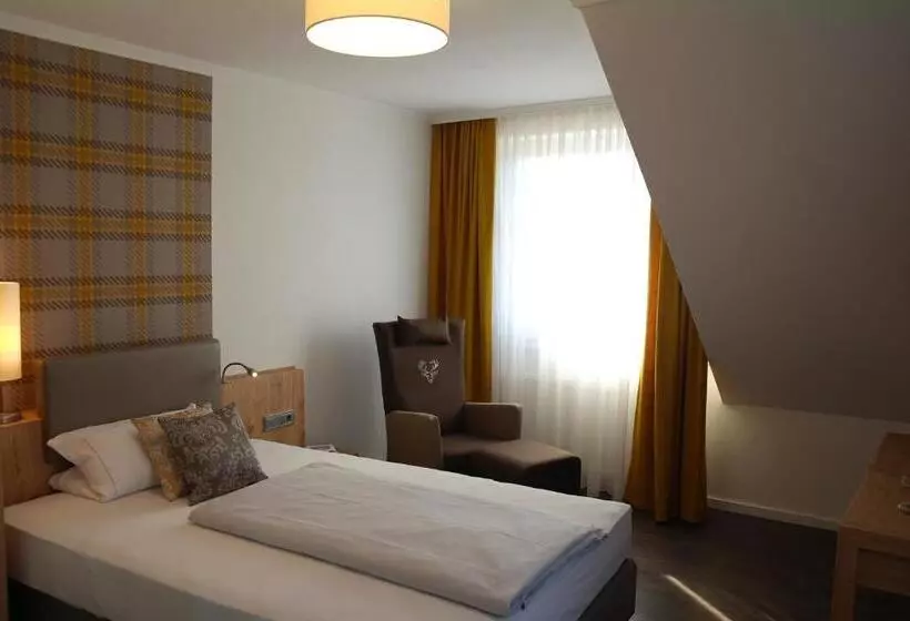コンフォートシングルルーム, Landidyll Hotel Zum Freden