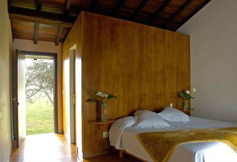 Номер Стандарт, Pazo Cibrán