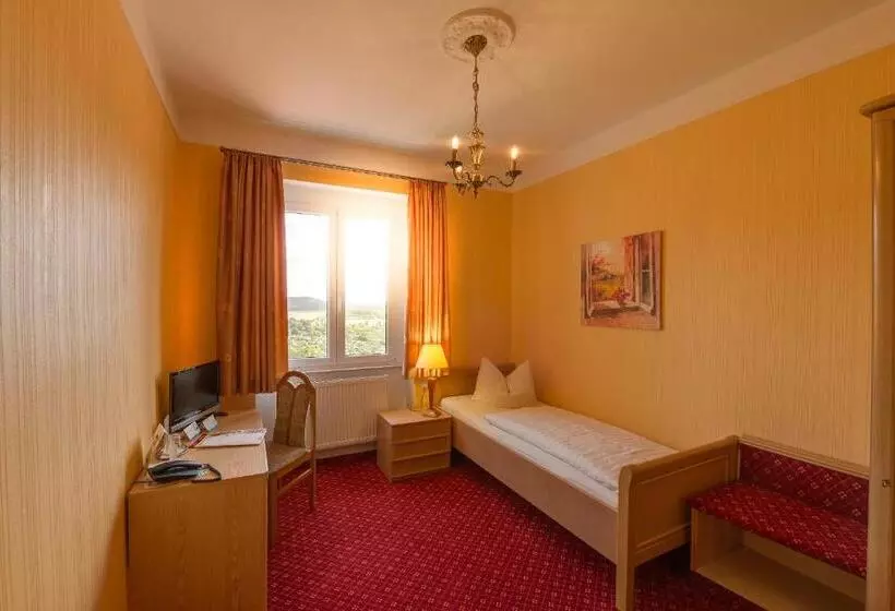 Standard Single Room, Flair Hotel Villa Ilske
