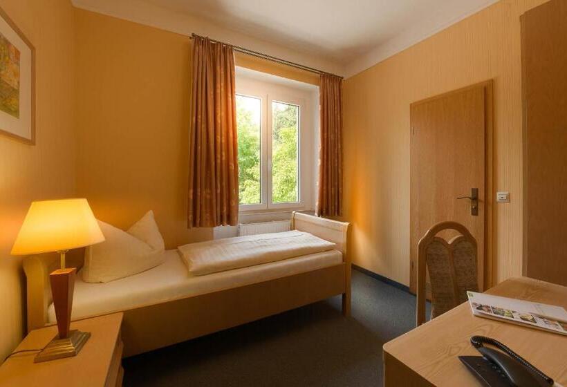 חדר סטנדרט יחיד, Flair Hotel Villa Ilske