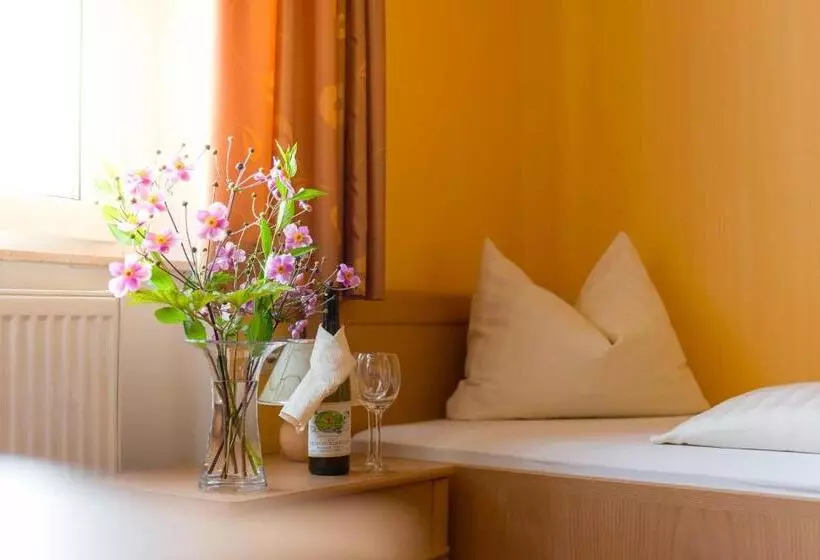 Standard Single Room, Flair Hotel Villa Ilske